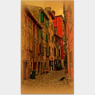 The streets of Rovinj Posters and Art